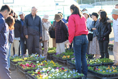 花の栽培方法の見学の様子