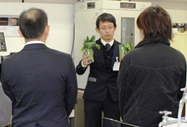 野菜の鮮度測定のデモンストレーション