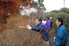 剪定研修会現地実習