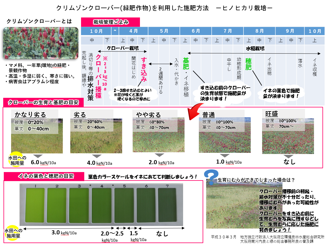 クリムゾンクローバーを利用した施肥方法の図