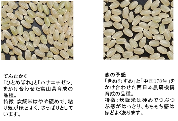 てんたかくは 「ひとめぼれ」と「ハナエチゼン」をかけ合わせた富山県育成の品種。 特徴：炊飯米はやや硬めで、粘り気がほどよく、さっぱりとしています。恋の予感は 「きぬむすめ」と「中国178号」をかけ合わせた西日本農研機構育成の品種。 特徴：炊飯米は硬めでつぶつぶ感がはっきり、もちもち感はほどよくあります。