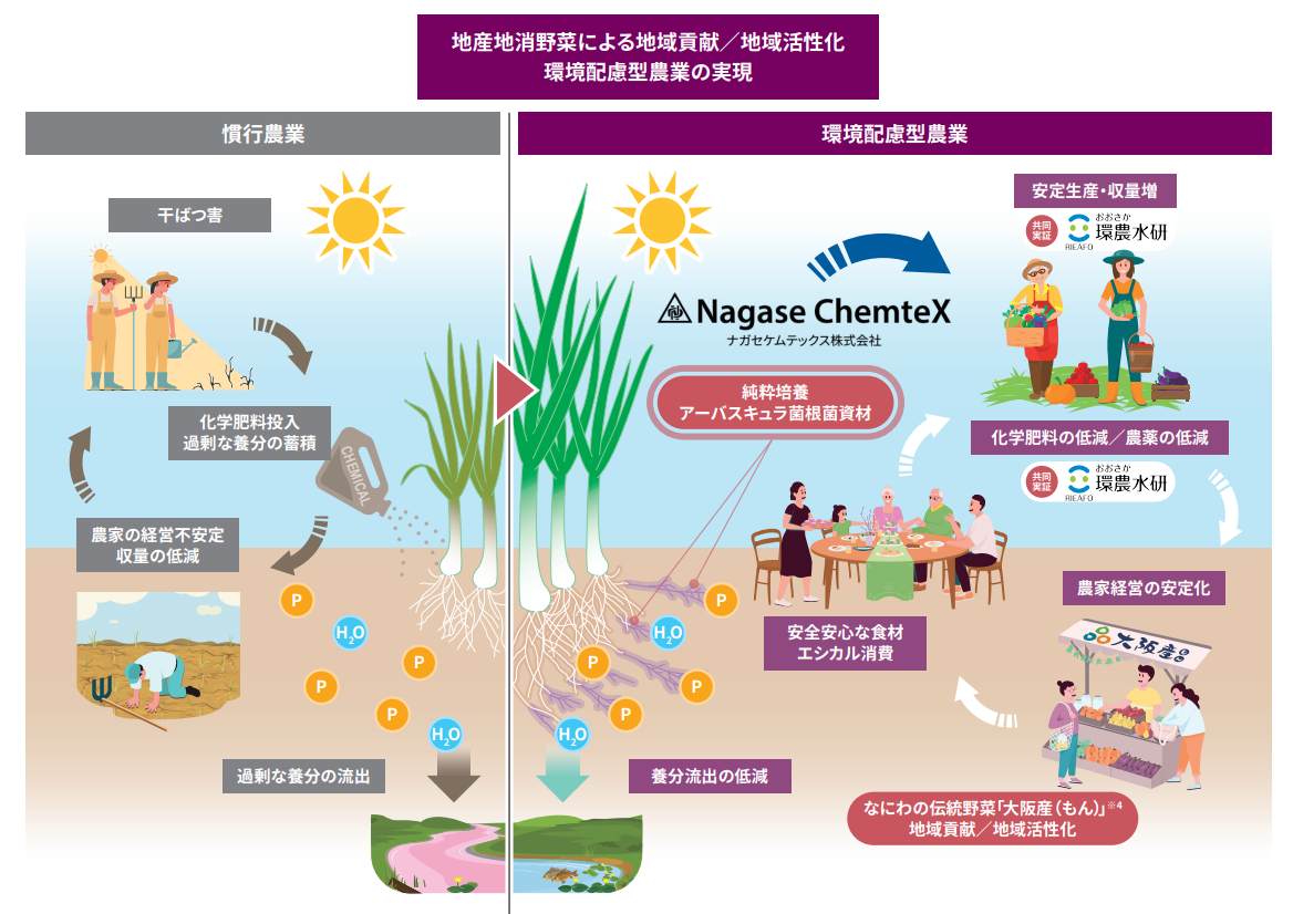 地産地消野菜による地域貢献／地域活性化　環境配慮型農業の実現