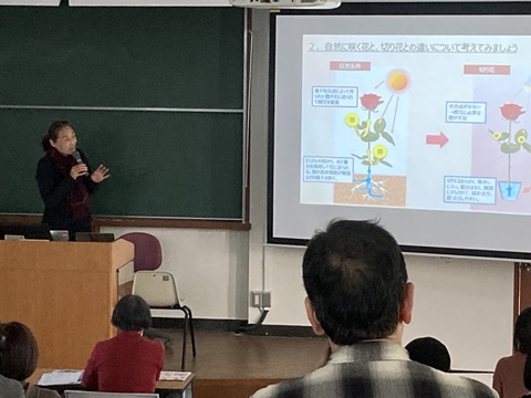 セミナーの様子