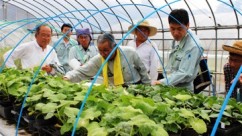 JA大阪南なにわの伝統野菜部会栽培研修2 JA大阪南なにわの伝統野菜部会栽培研修2