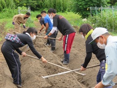 実習 実習