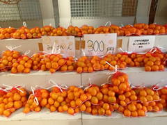 果樹班の販売風景（みかん）