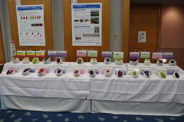 大阪ぶどうの展示