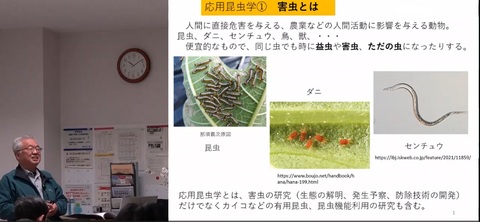 応用昆虫Web講義イメージ