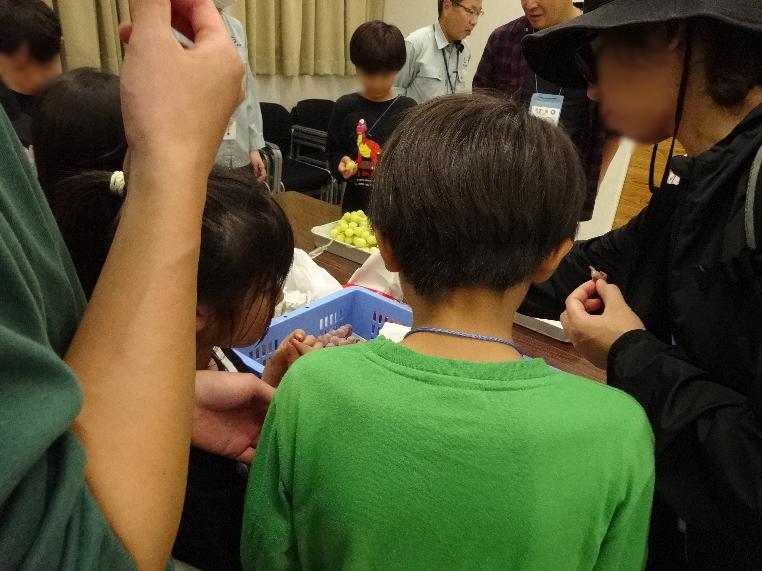 ブドウ試食 ブドウ試食