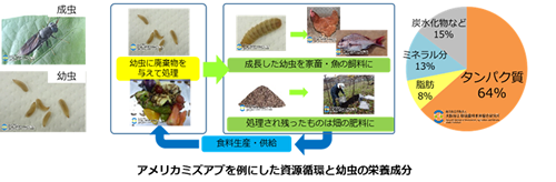 活動事例