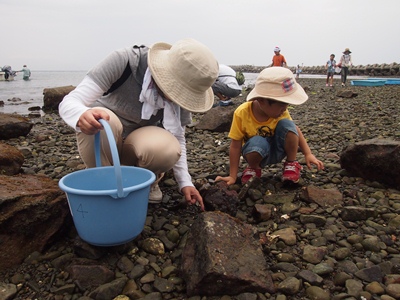 海の生き物観察体験