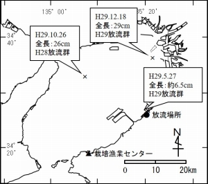 調査結果