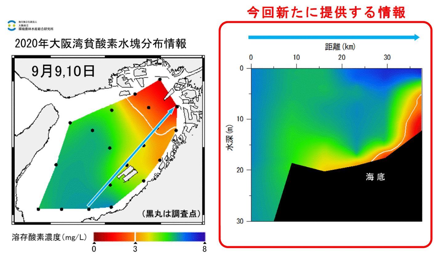 貧酸素水塊分布情報