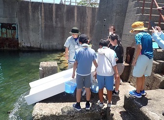 稚魚を放流しました