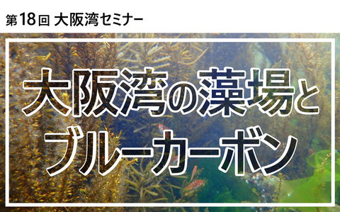 タイトル画像