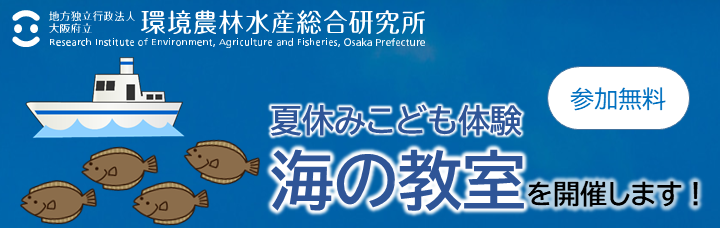 夏休みこども体験　海の教室を開催します！