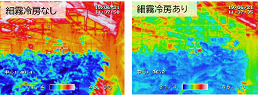 熱画像の比較