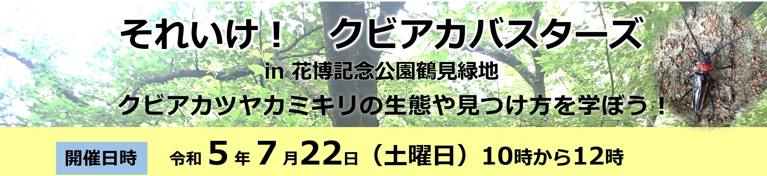 みんなの力でクビアカツヤカミキリから大阪のサクラを守ろう 　「それいけ！クビアカバスターズ」開催