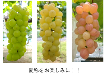 大阪オリジナルぶどう