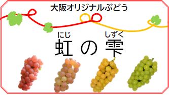 大阪オリジナルぶどう
