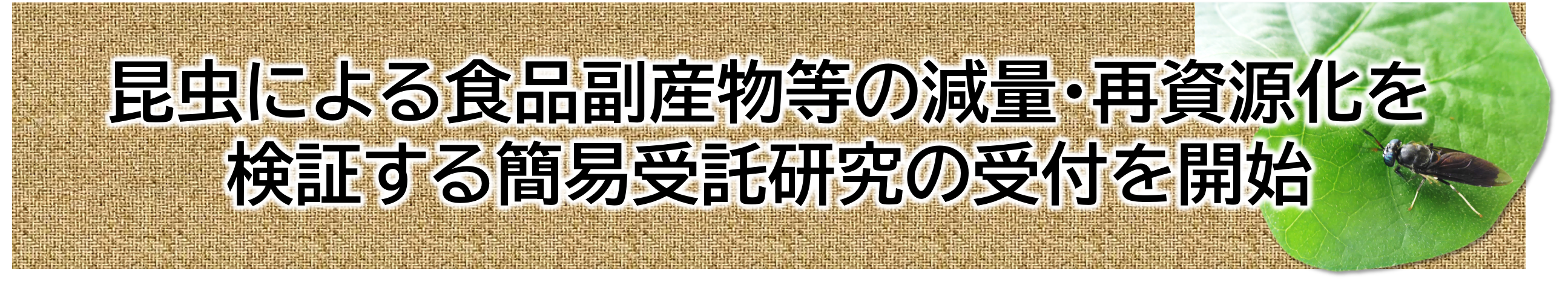 昆虫による食品副産物等の減量・再資源化を検証する簡易受託研究の受付を開始