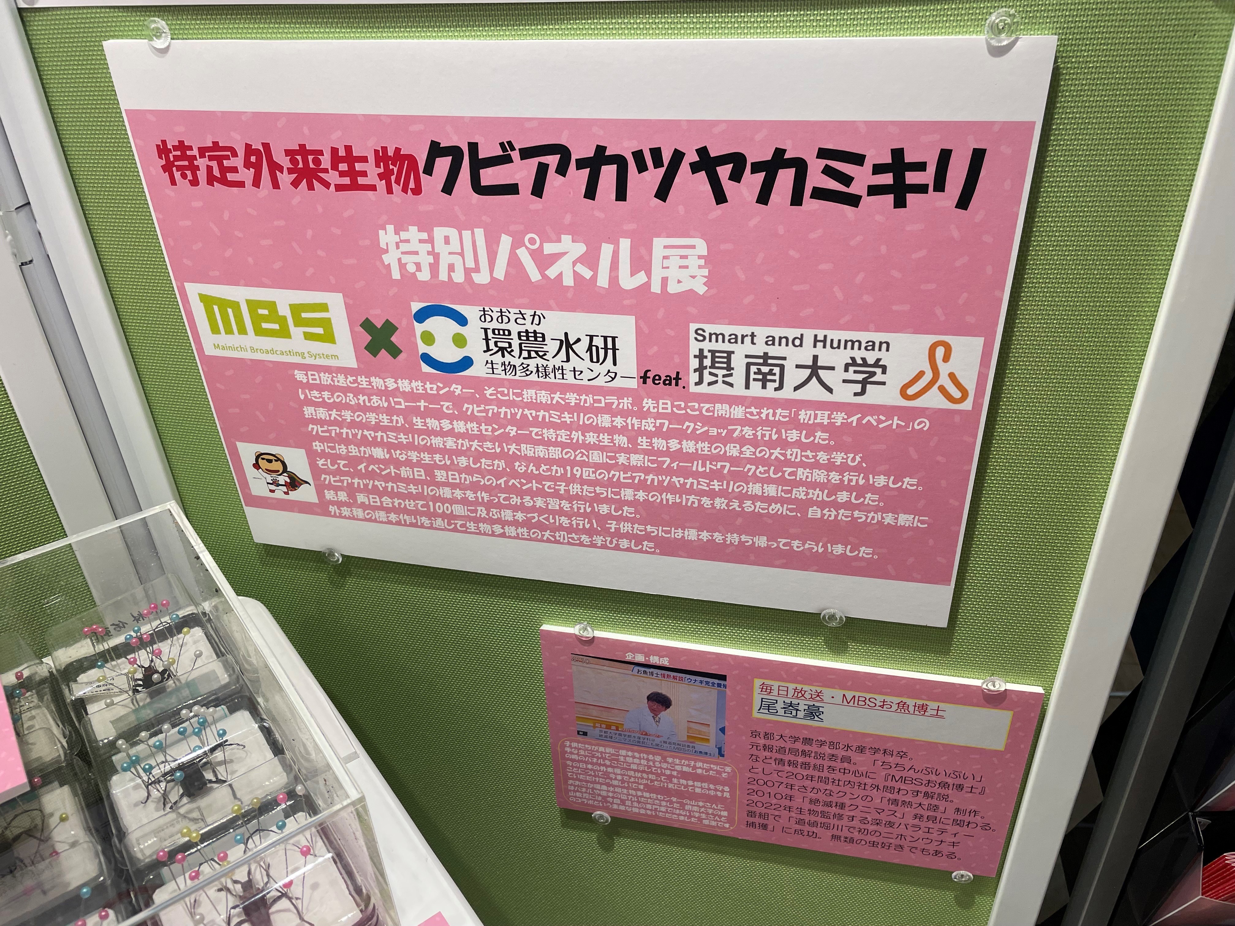 クビアカ展示パネル