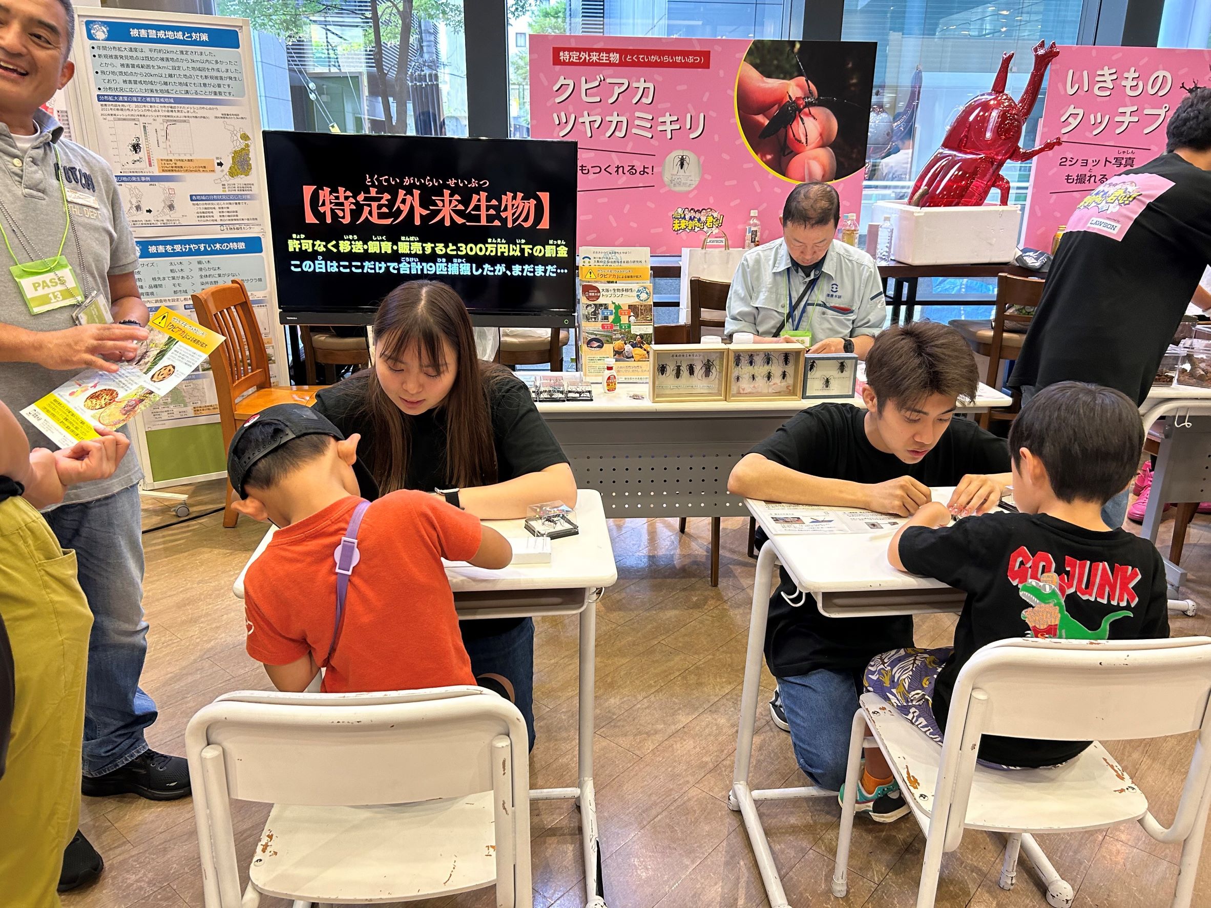 ブース標本作成状況