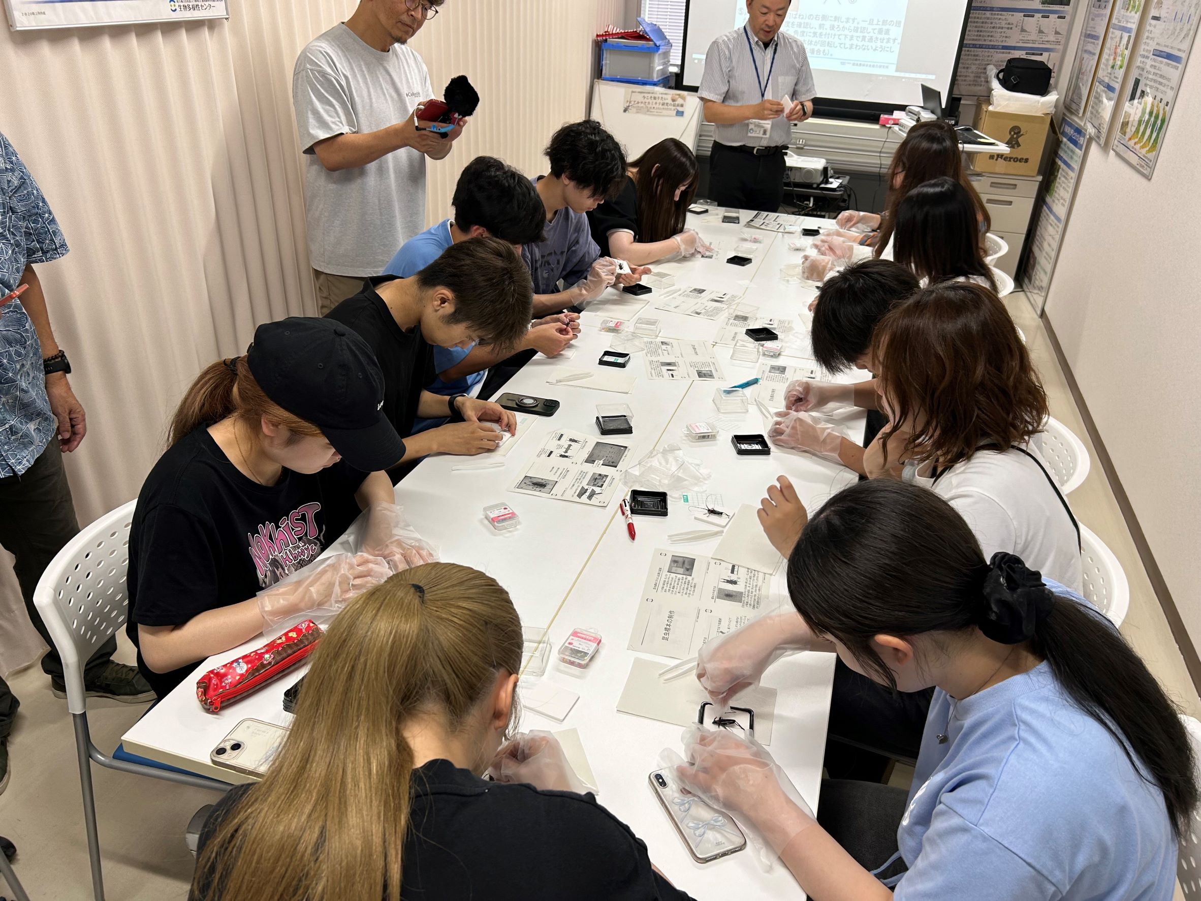 標本作成実習