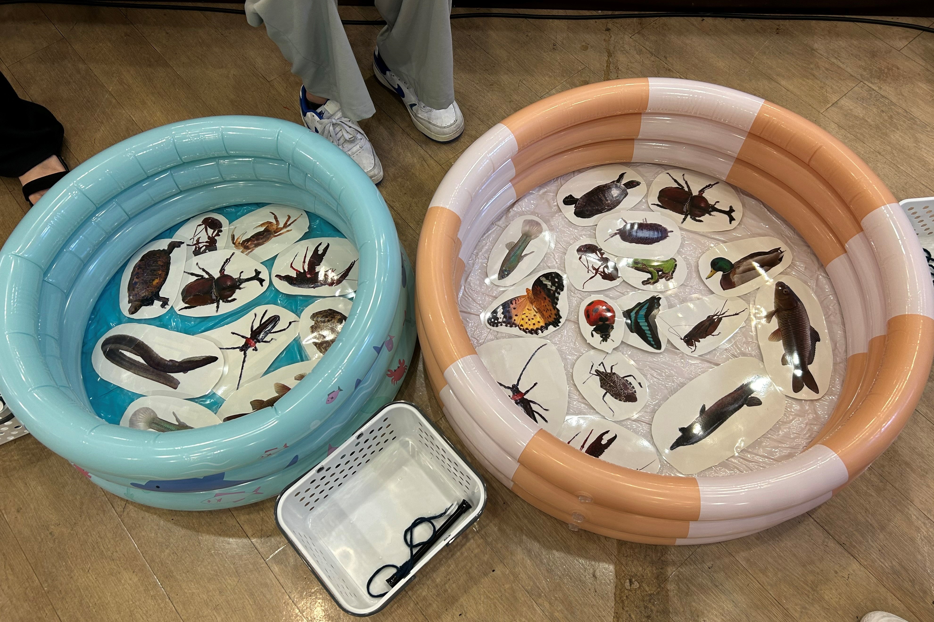 生きものカード釣り
