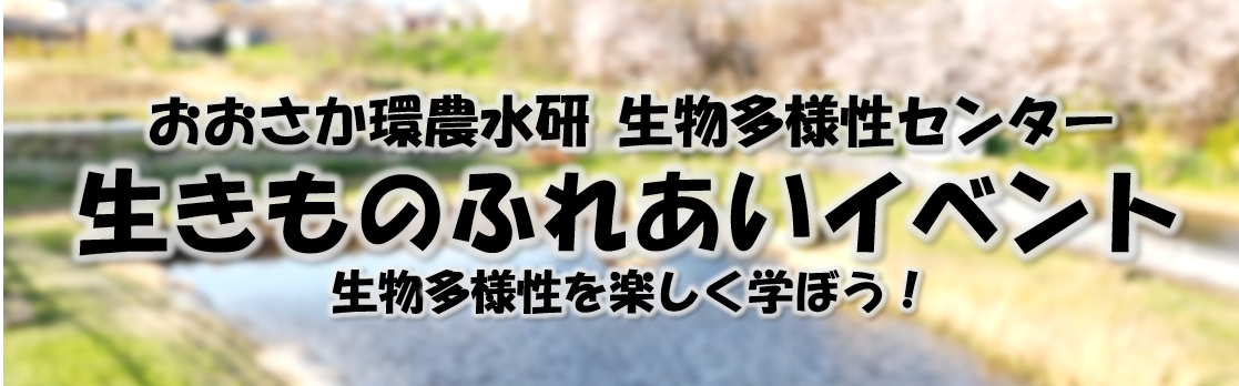 生きものふれあいイベント