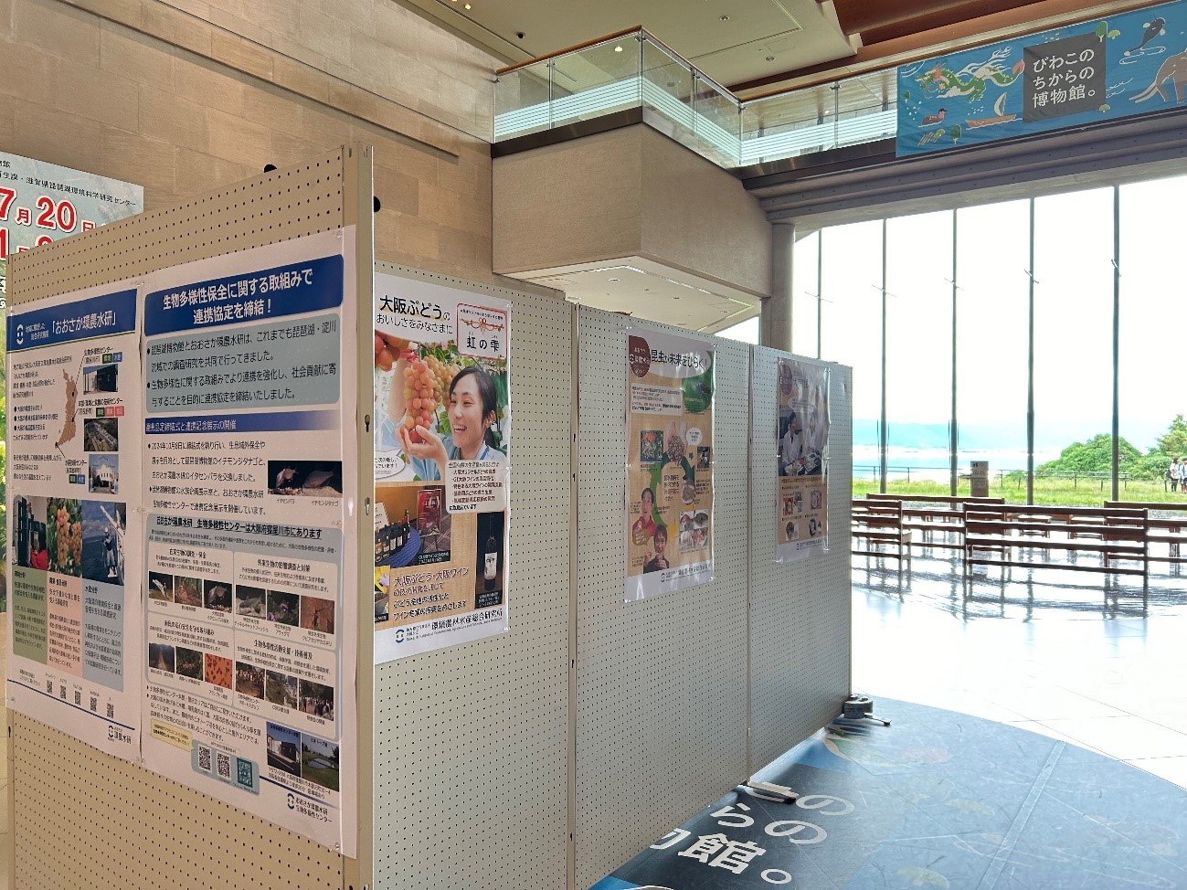 琵琶湖博物館アトリウムに設置していただいた環農水研紹介パネル