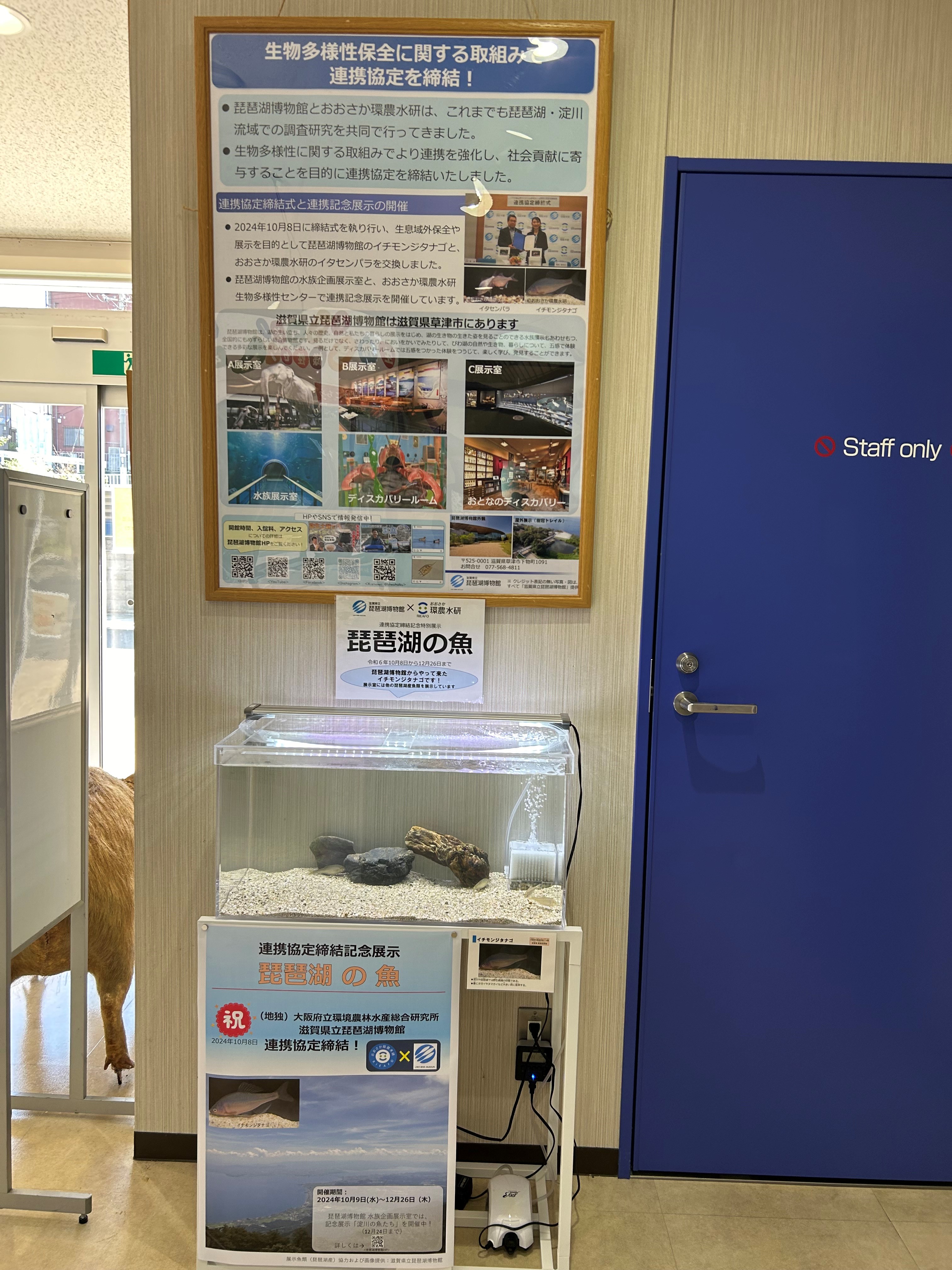 生物多様性センターでの展示