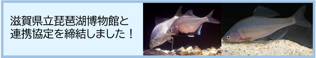 滋賀県立琵琶湖博物館と連携協定を締結しました！