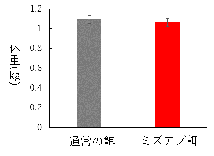 試験終了時のマダイの体重