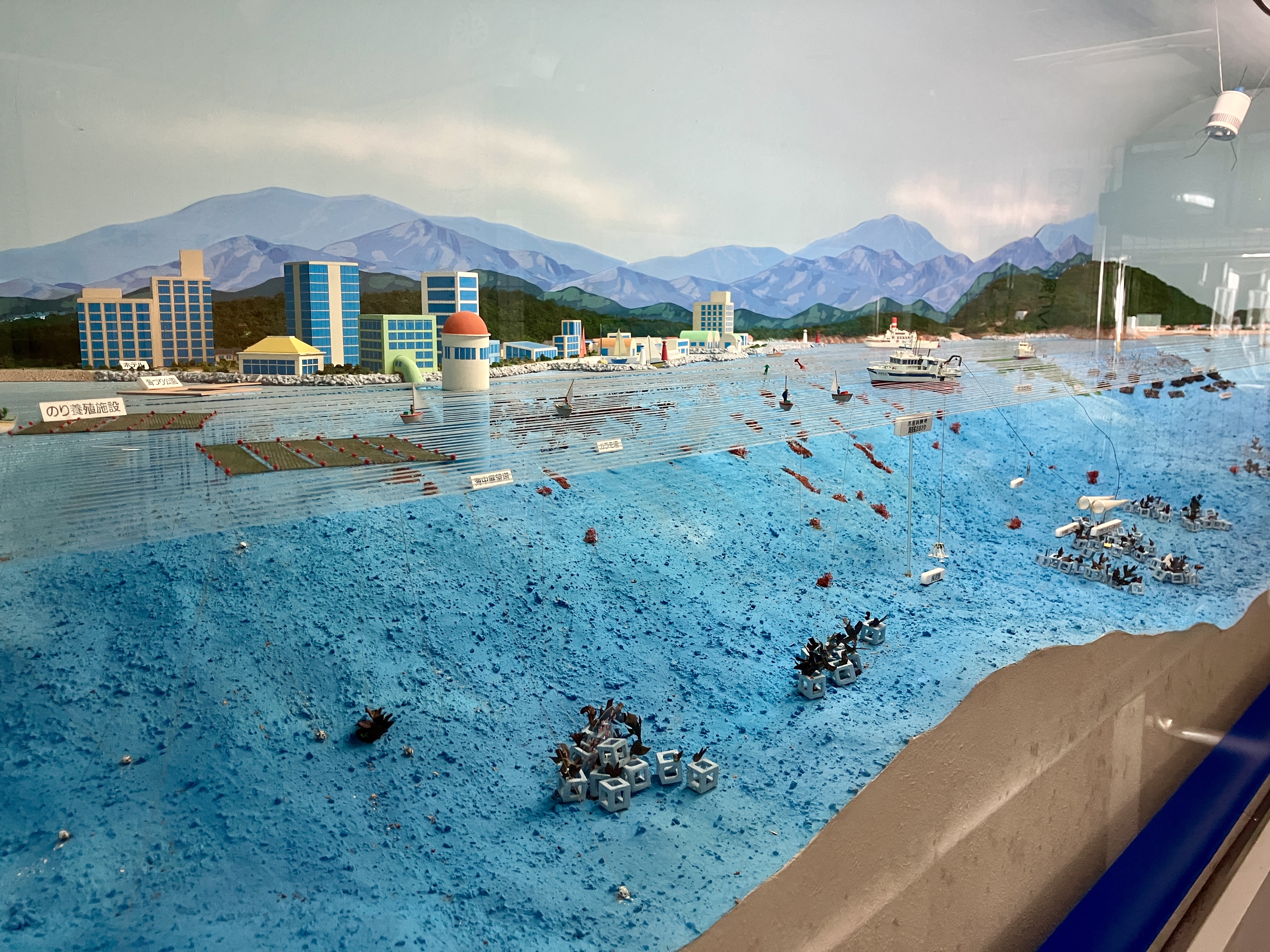 栽培漁業の紹介ジオラマ