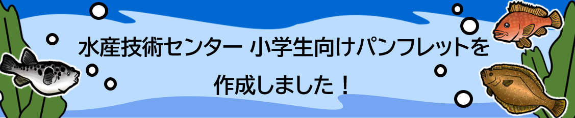 水産技術センターの小学生向けパンフレットを作成しました！