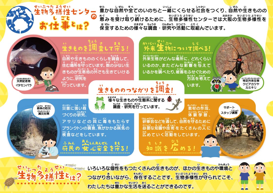 生物多様性センター小学生向けパンフレット（裏）