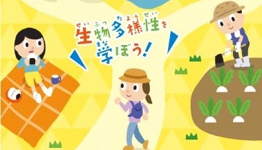 生物多様性センターの新しいパンフレットを２種類作成しました！