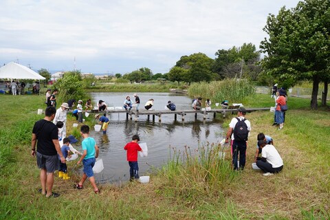 生きもの観察イベントの様子