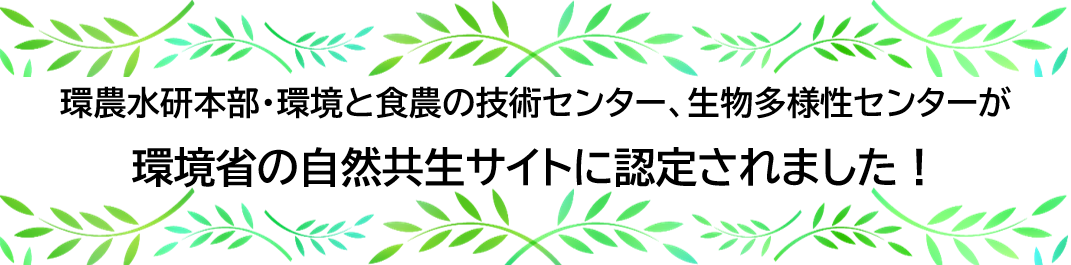環農水研本部・環境と食農の技術センター、生物多様性センターが環境省の自然共生サイトに認定されました！