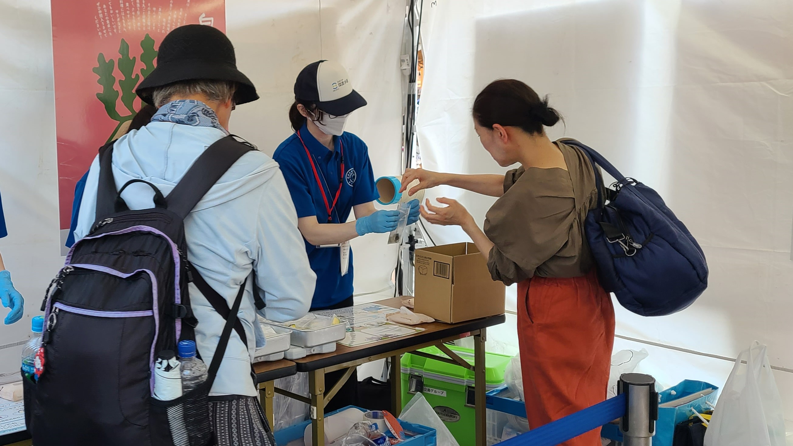 水なすの減塩浅漬けの試食