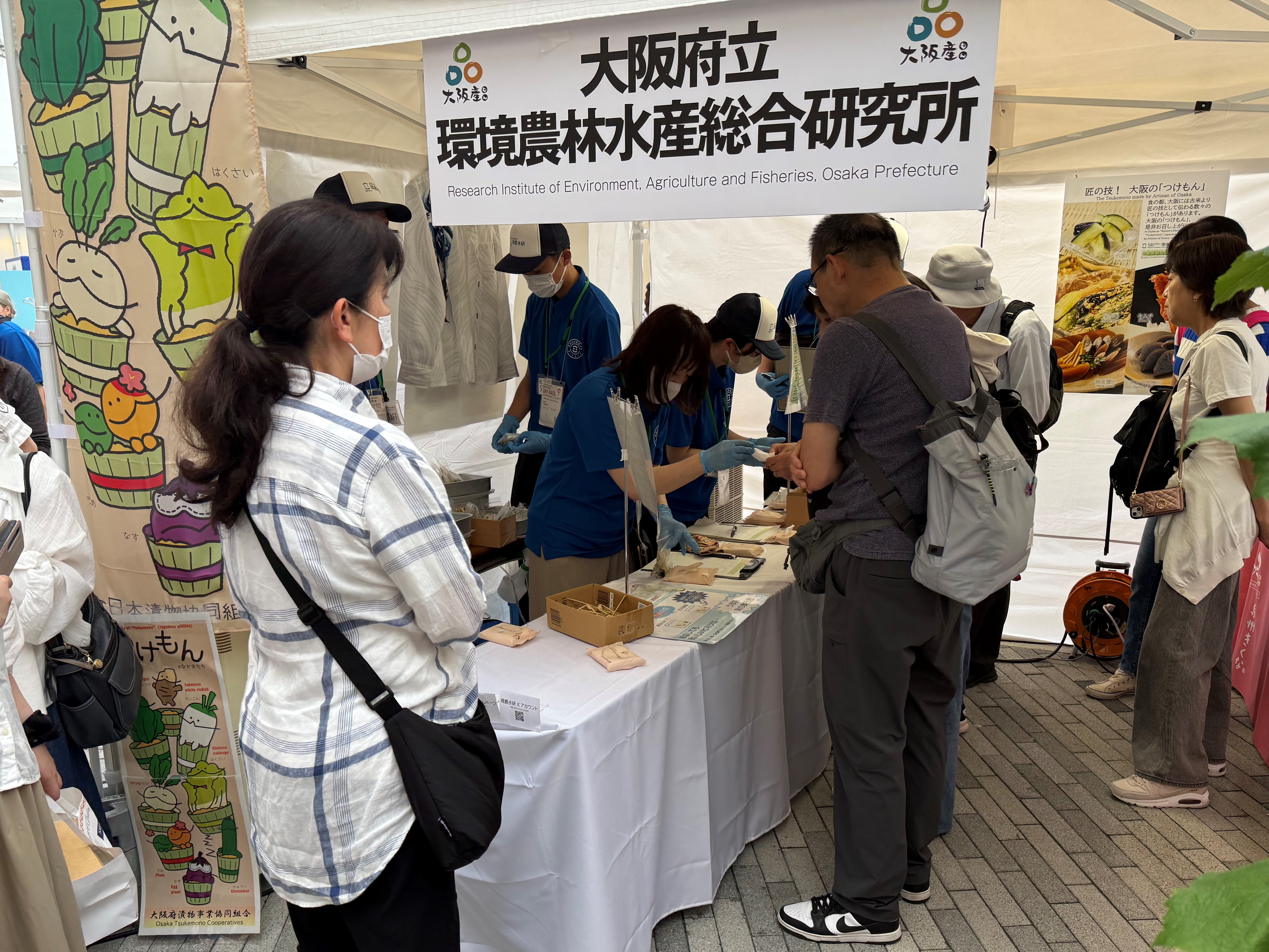 水なすの浅漬け・減塩浅漬けの食べ比べ