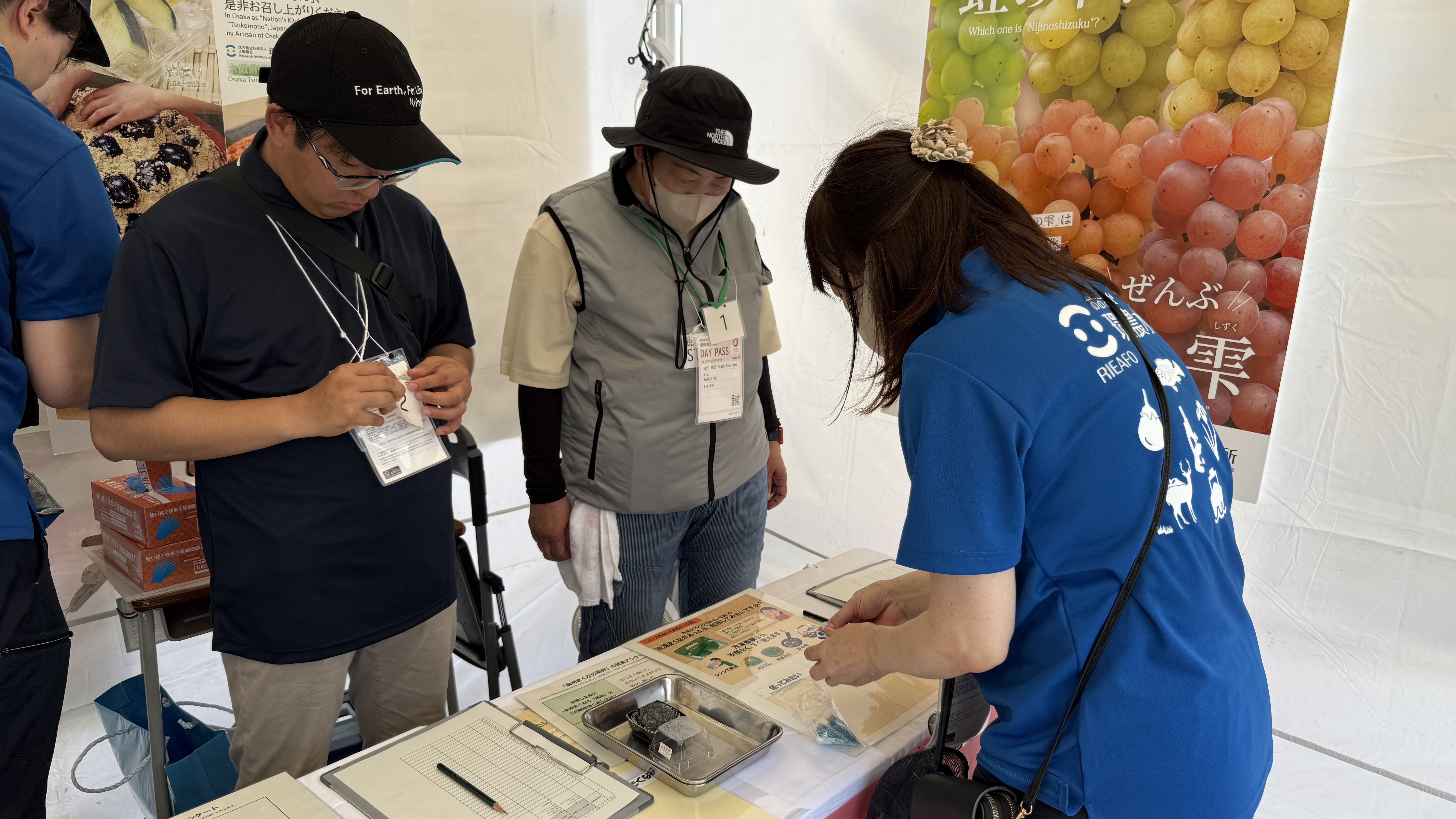 きくな草餅の試食