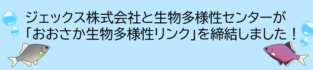 タイトルバナー