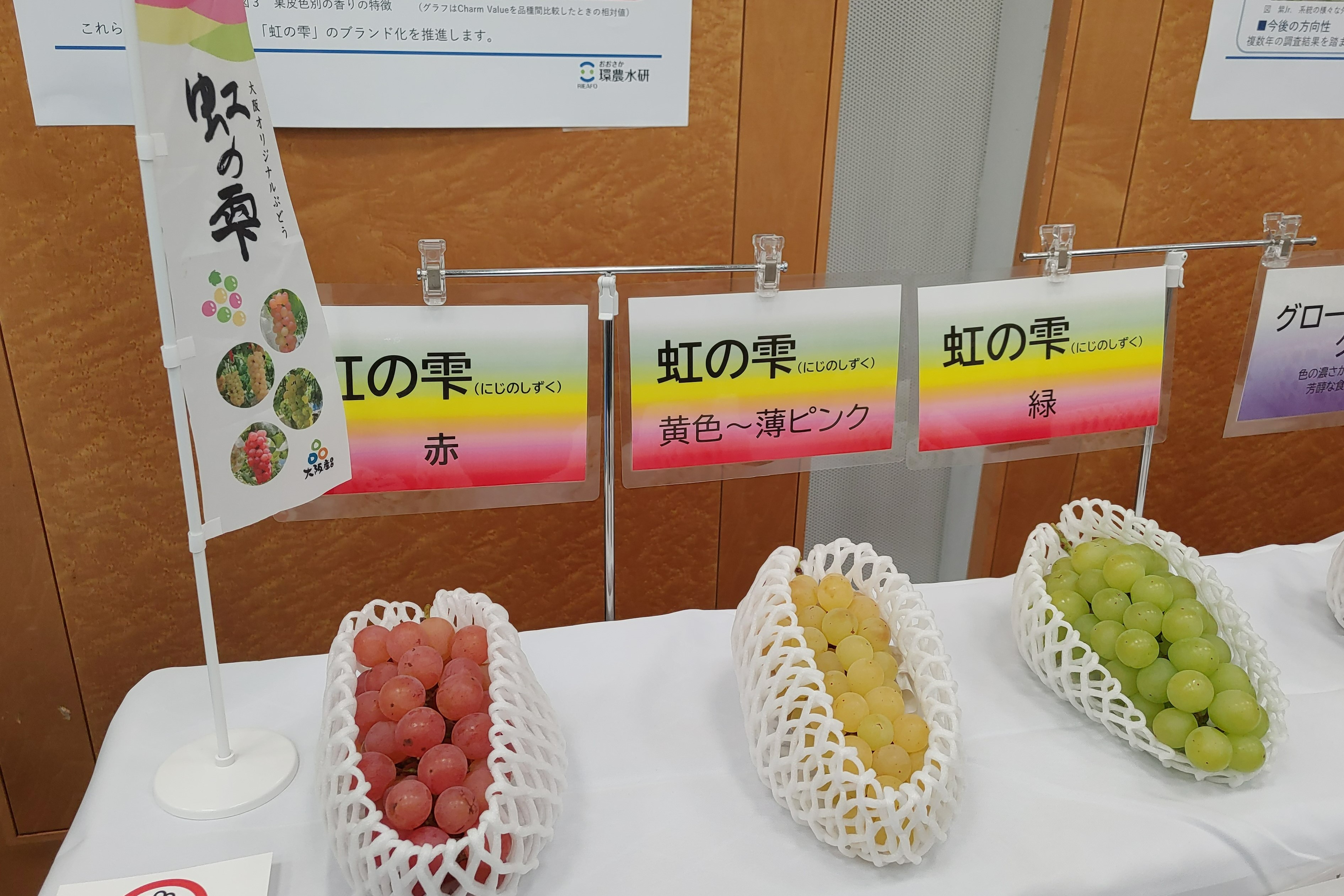 大阪オリジナルぶどう「虹の雫」 大阪オリジナルぶどう「虹の雫」