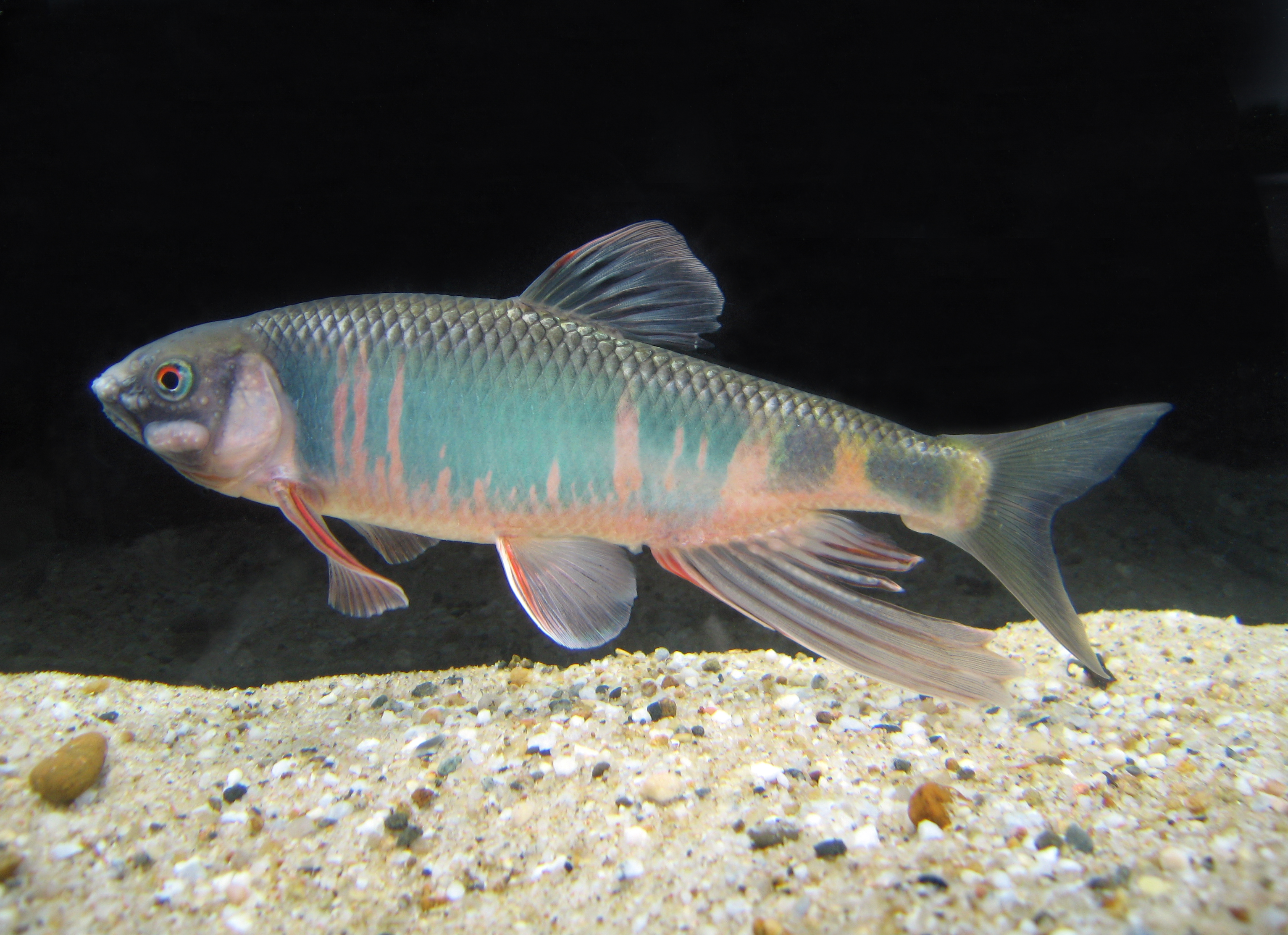 水産]現場体験型プログラム「自然のつながり実感！体験会」開催 | 大阪