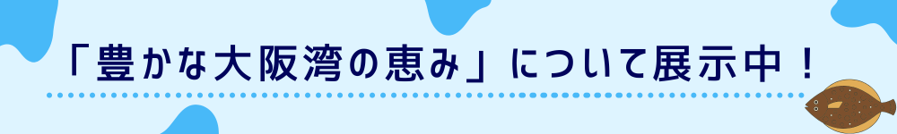 豊かな大阪湾の恵みについて展示しています！