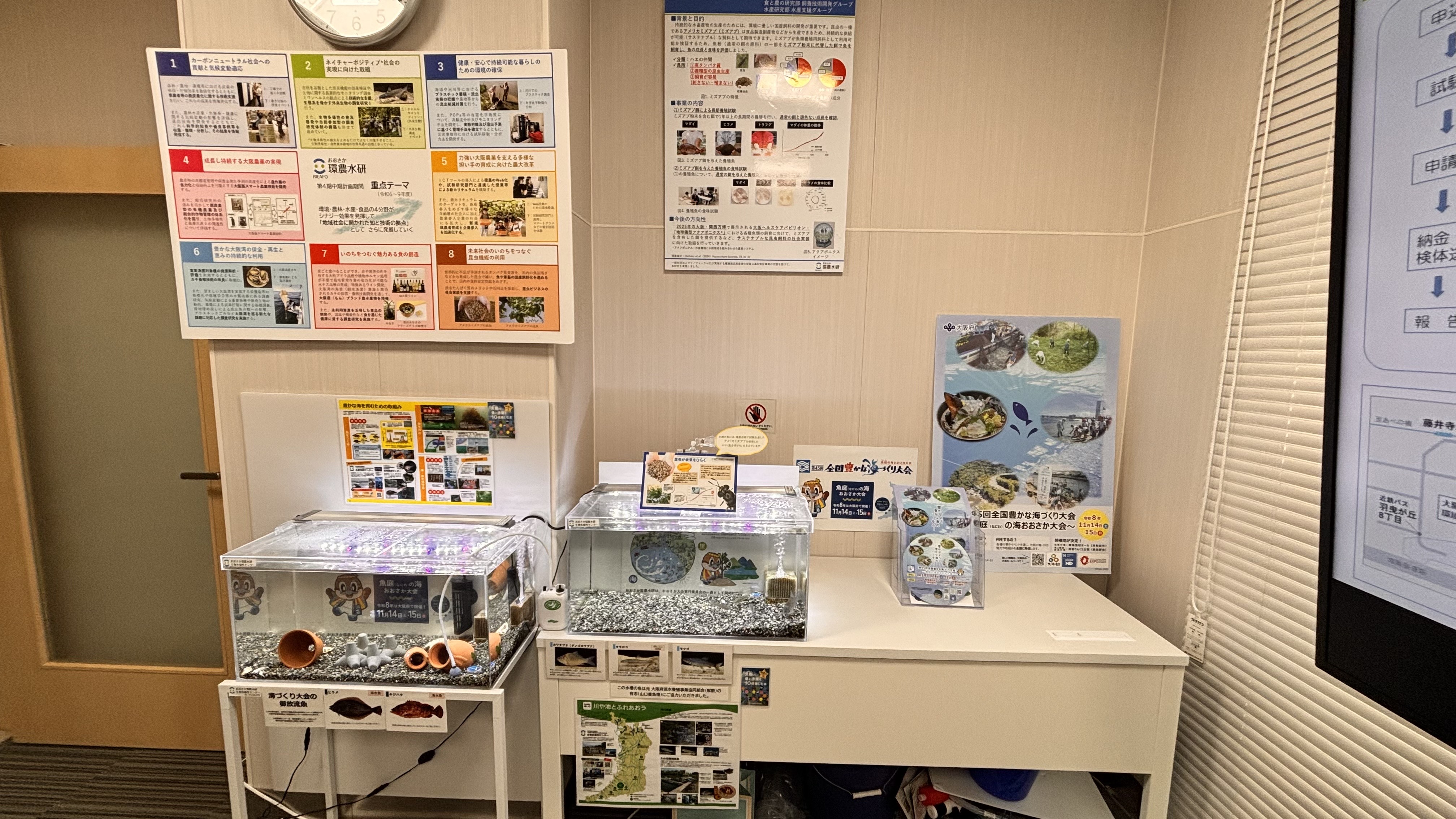 水槽展示 水槽展示