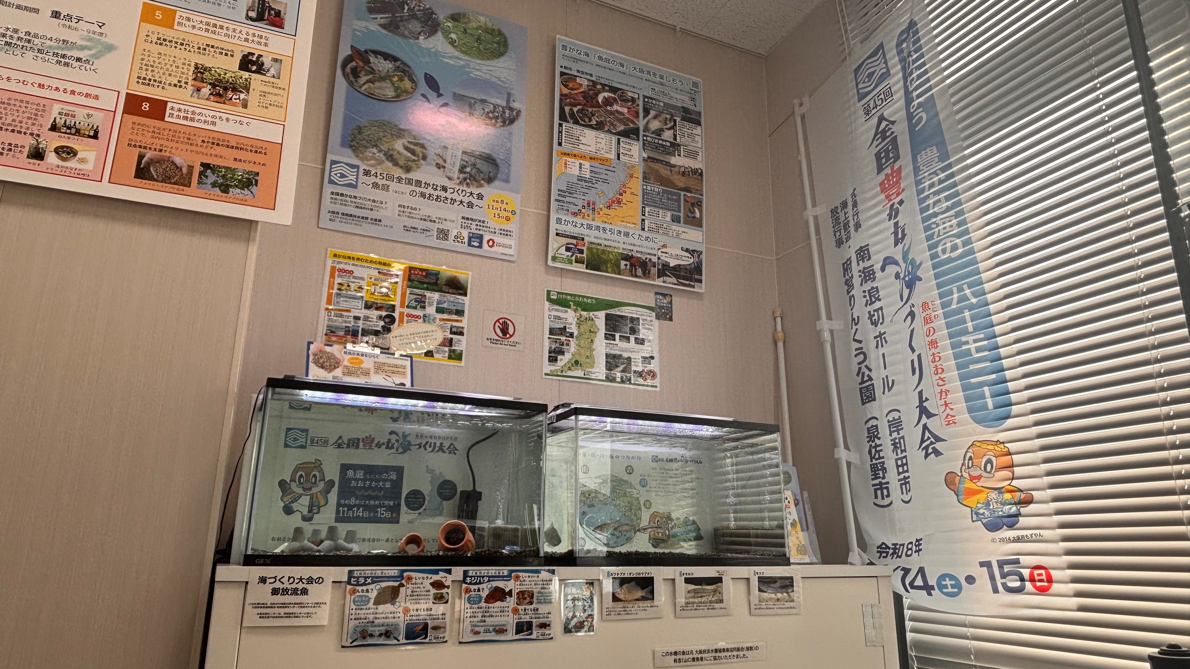 水槽展示