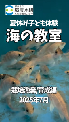海の教室栽培漁業育成編